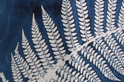 ferns | AsKew Prints | Fern prints, Bird prints, Botanical prints