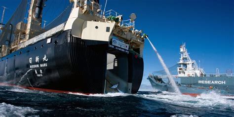 Sea Shepherd Australia
