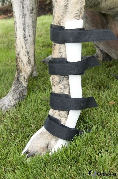 Veterinary Canine Splints V Tapes