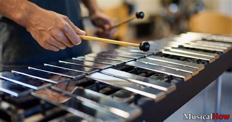 different types of xylophones musicalhow