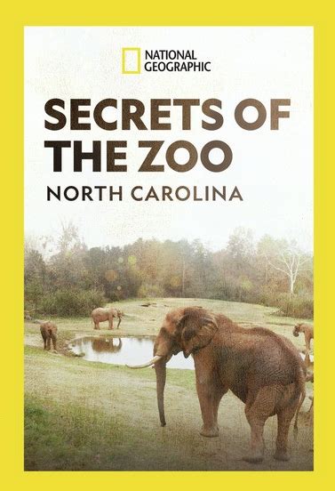 Best Buy Secrets Of The Zoo Season 1 North Carolina Dvd