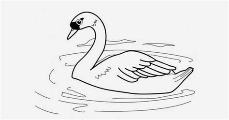 Swan Coloring Page Free Coloring Pages And Coloring