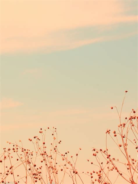 Free download Soft Wallpaper Download Desktop 3593 Wallpaper [3840x2118