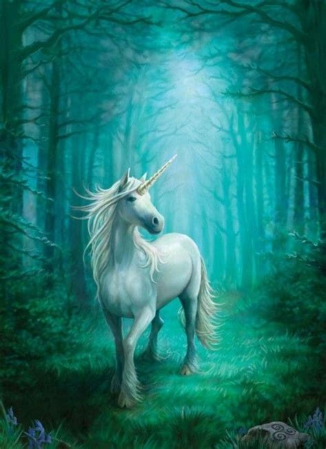 Amazing Unicorns Artwork 15 Unicorn Art Fantasy Creatures Unicorn