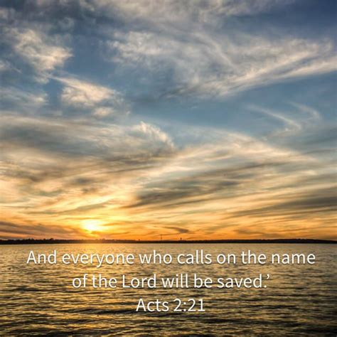 Acts 221 New International Version Niv Bible Apps Isaiah 46 Psalms