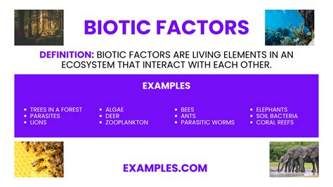 Biotic Factors Examples Pdf How To Identify