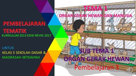 Pembelajaran Tematik Kelas Tema Sub Tema Pembelajaran Youtube