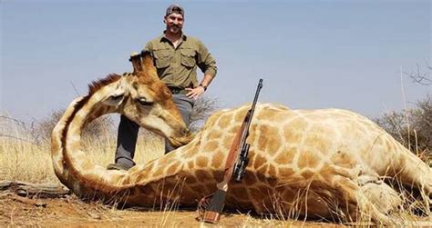 Trophy Hunting Wildlife Official Faces Pressure To Resign