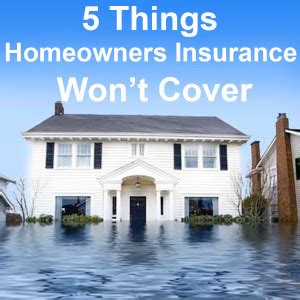 Usaa homeowners insurance review and quotes. 5 Things Homeowners Insurance Won't Cover - Local Records Office