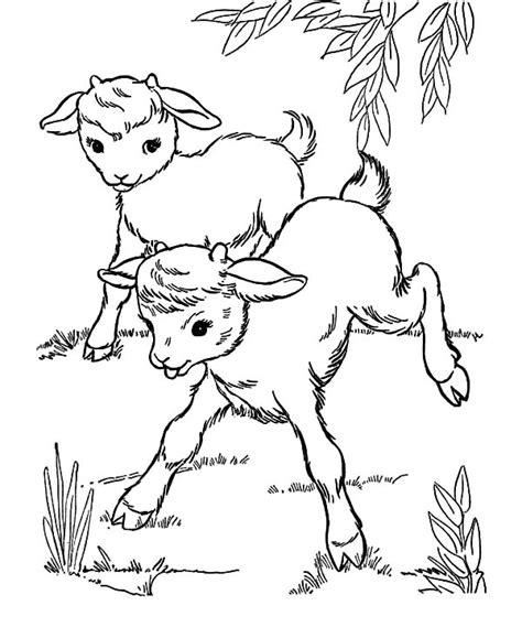 Our colouring pages are always very popular and have been organised by theme and holiday. Drawing Goat Coloring Pages | Color Luna