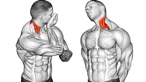 7 Exercises To Strengthen Your Neck