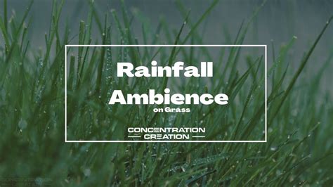 Rainfall On Grass Background Noise For Focus Or Sleep Hour Loop