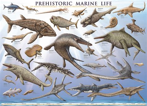 Eurographics Prehistoric Marine Life 1000 Piece Puzzle Explore Over