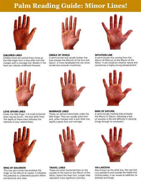 Scientific Guide To Palm Reading Palmistry Palm Reading Palmistry