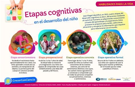 Infografia Etapas Desarrollo Cognitivo Ninos Educacion Desarrollo Images