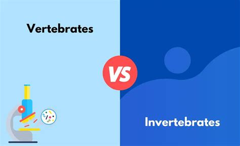 Vertebrates Vs Invertebrates Whats The Difference With