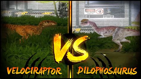 Dinosaur Battles Velociraptor Vs Dilophosaurus Jurassic Park