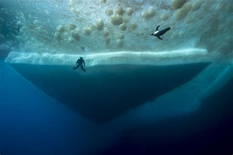 Deepest Dive Under Antarctica Reveals A Shockingly Vibrant World