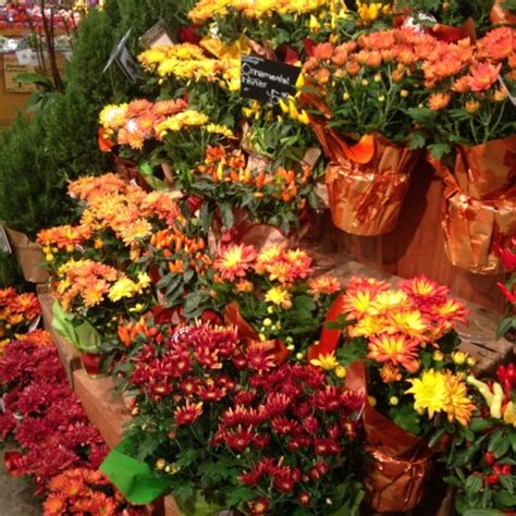 Whole foods market (redwood city, ca). Whole Foods Market - Grocery Store in Redwood City