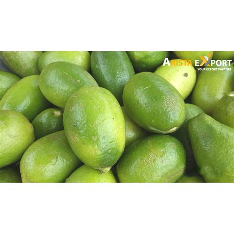 Fresh High Quality Lime Supplier From Bd