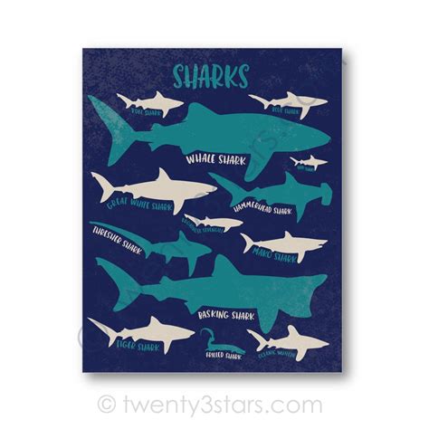 Sharks Poster Kinds Of Sharks Art Shark Wall Art Shark Etsy Shark