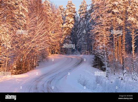 Free Download Snowy And Icy Road Winding Through Winter Forest