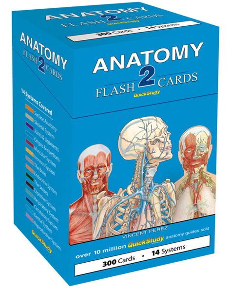 Quickstudy Anatomy 2 Flash Cards 9781423232469