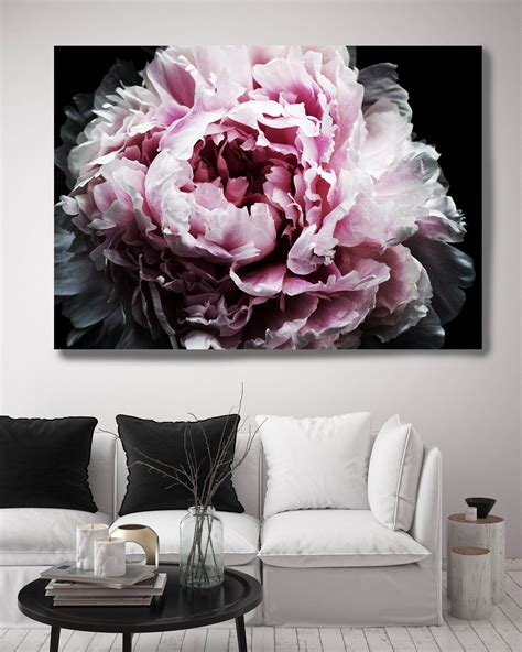 Peony Passion 2 Peony Photography Canvas Print Modern Black Etsy In