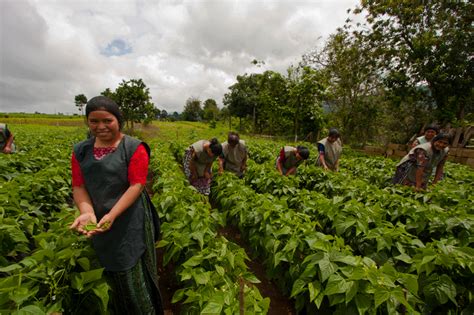 MAGA Impulsa Acciones A Favor De Las Mujeres Agricultoras Agencia Guatemalteca De Noticias
