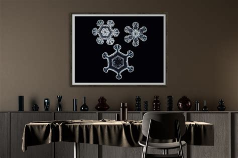 Photographer Nathan Myhrvold Captures Snowflakes In High Resolution