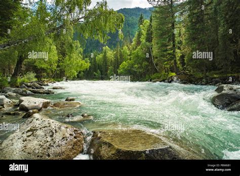 Mountain River Kucherla Wald Altai Russland Schnelle Wasserstrom