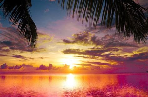 Tropical Island Sunset Wallpaper Download Tropical Hd Wallpaper Appraw