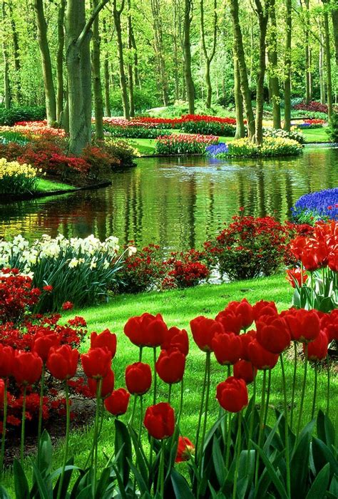 Pin By Beautiful Life Skl On Beatiful Images Beautiful Gardens Most