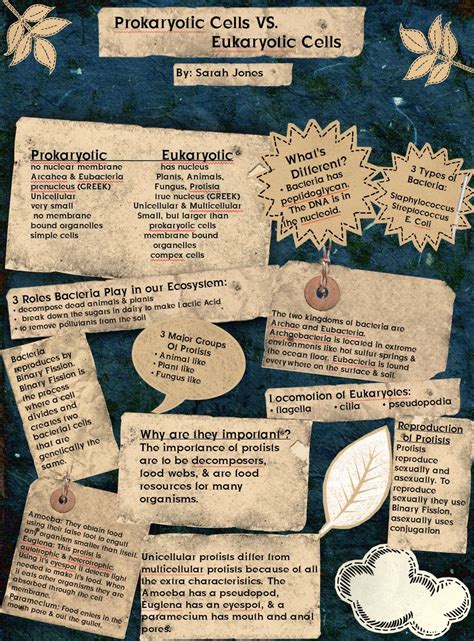 … when given a description, determine whether a cell is prokaryotic or eukaryotic and explain why. Biology Pictures: Eukaryotic Cells | Prokaryotic cell ...