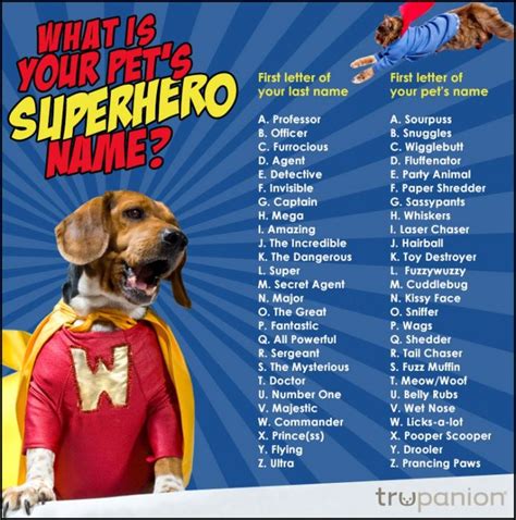 Whats Your Pets Superhero Name Superhero Names Funny Name