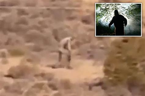 Bigfoot Caught On Camera Walking Desert In Portugal Daily Star