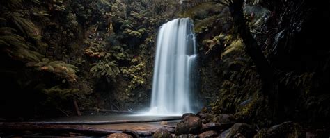 Download Wallpaper 2560x1080 Waterfall Cliff Plants Stones Dual Wide