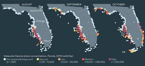 Florida Red Tide Map 2023 World Map
