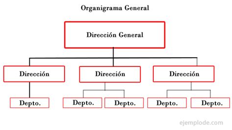Ejemplo De Organigrama