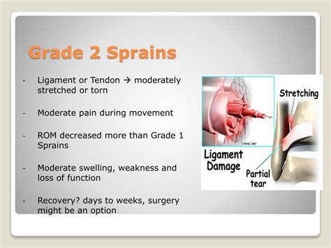 Ppt Musculoskeletal Acute And Chronic Injuries Powerpoint Presentation