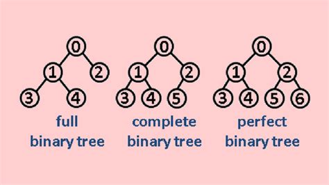 Binary Tree Data Structure Introduction And Types Of Binary Trees