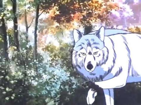 The most common anime white wolf material is metal. White Fang Anime Tribute - YouTube