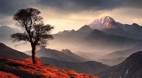10 Photos Created By AI That Don't Exist In Real Life, As Shared By