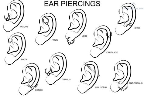 Top 7 Types Of Ear Piercings Piercing Of Ears Have Been A Trend By Ida Carlsson Medium