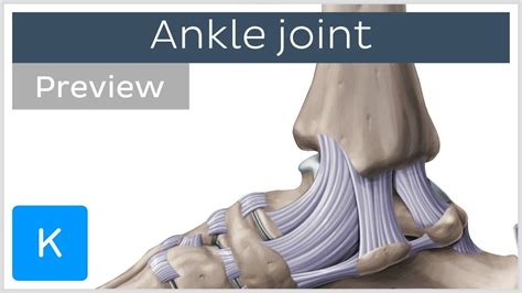 Ankle Instability Carolina Regional Orthopedics