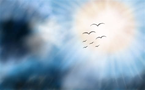 fly into the sky by konargus on deviantart