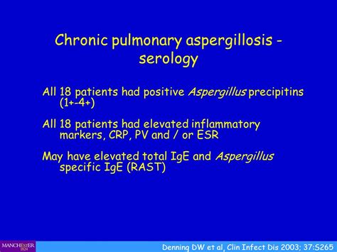 Chronic Pulmonary Aspergillosis Ppt Video Online Download