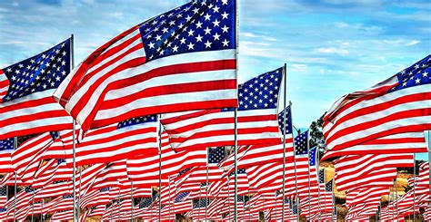 American Flags Free Stock Photo Public Domain Pictures