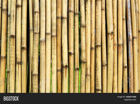 Old Brown Tone Bamboo Image And Photo Free Trial Bigstock