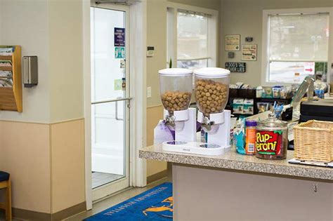 Ashland, ma 01721 ashland, ma 01721 open map directions phone: Parkway Veterinary Hospital | West Roxbury MA Pet Hospital